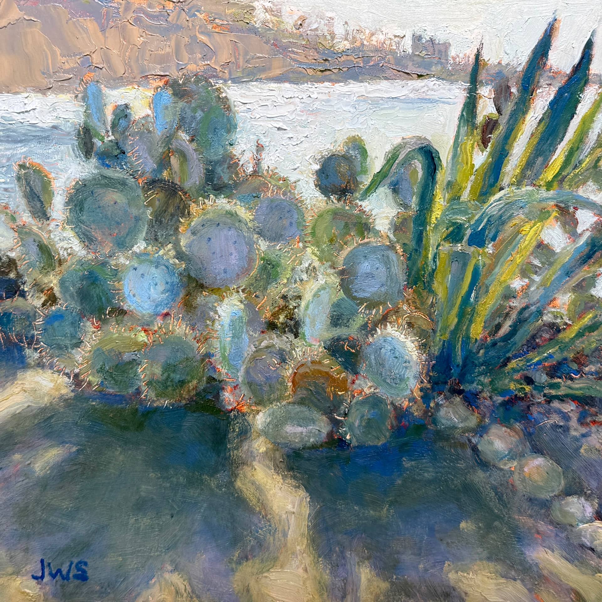 Coastal Cacti