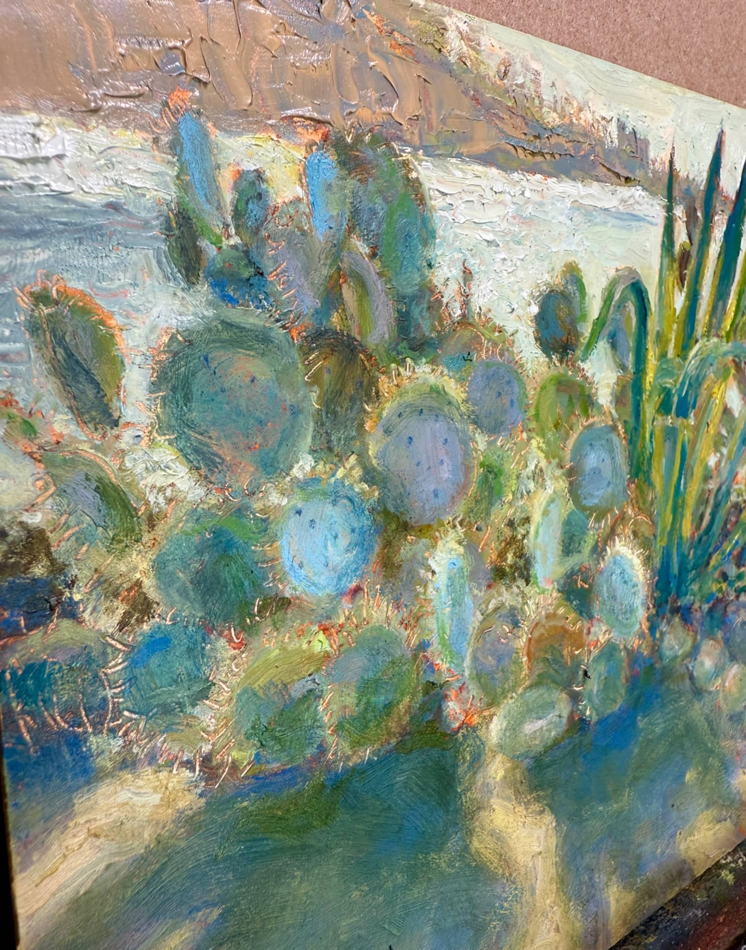 Coastal Cacti