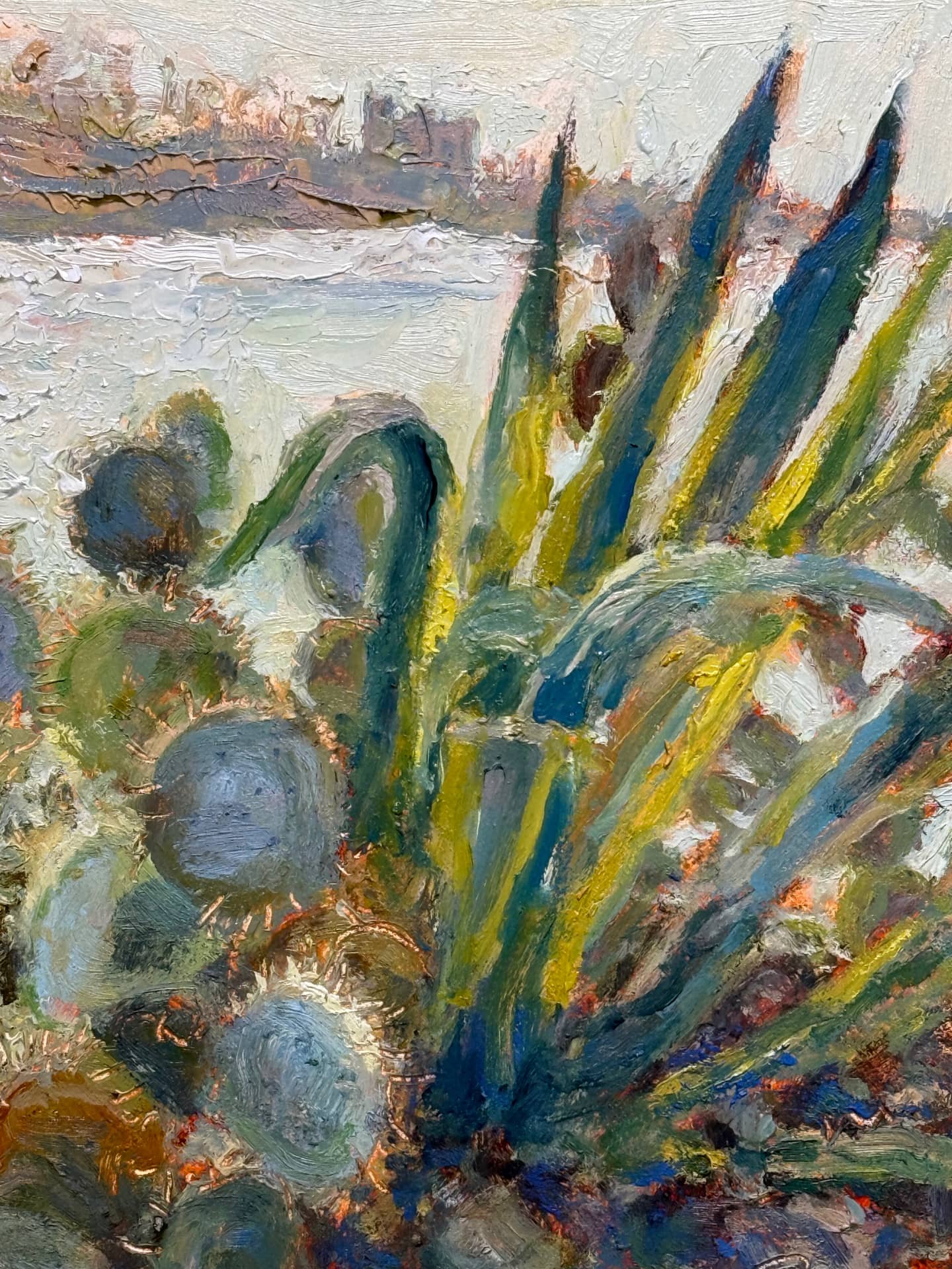 Coastal Cacti