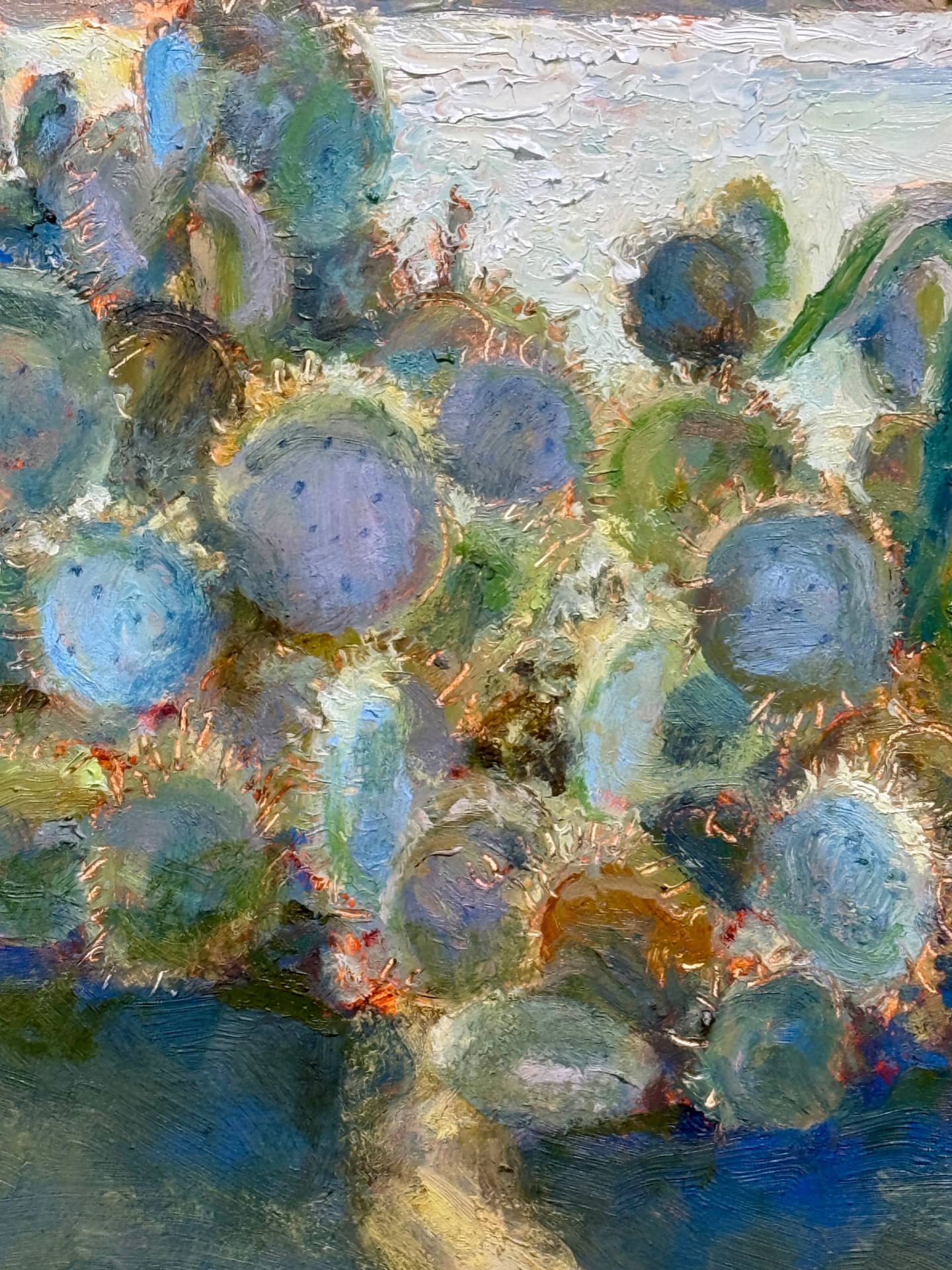 Coastal Cacti