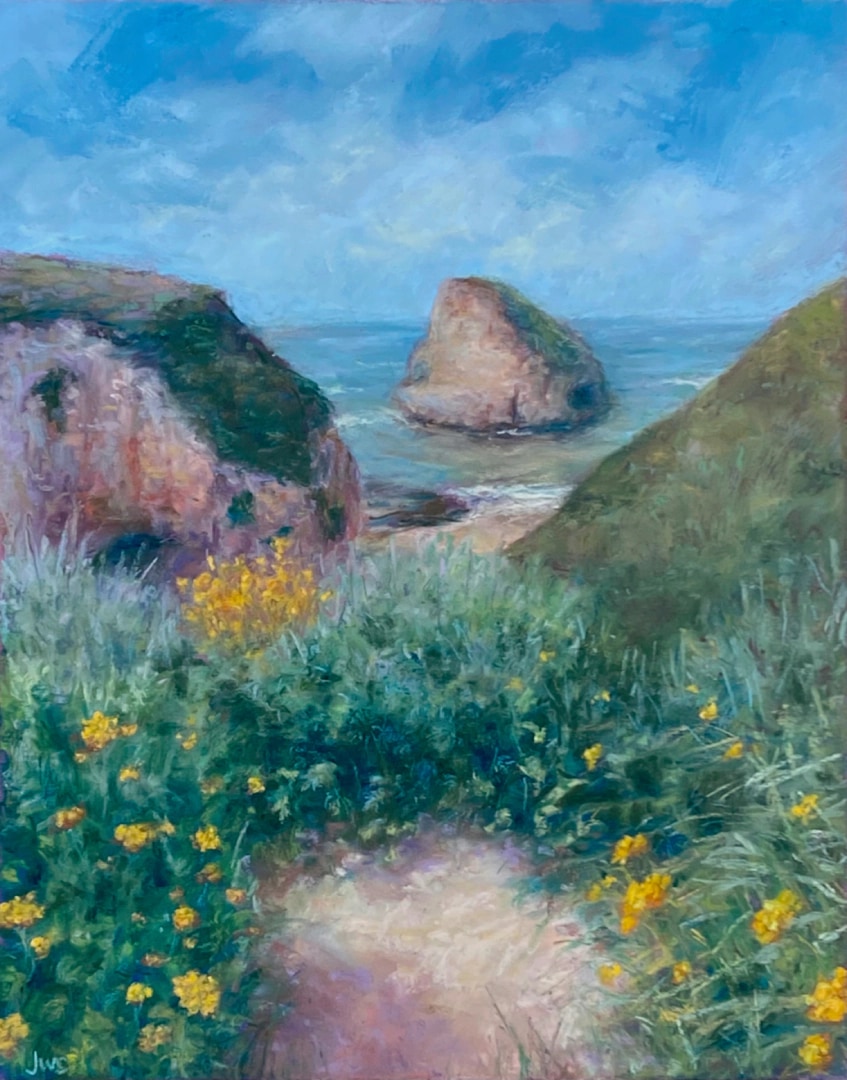 Shark Fin Cove
