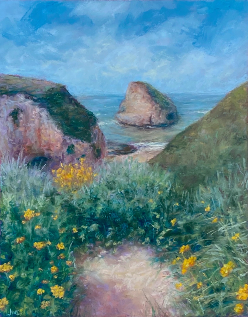 Shark Fin Cove